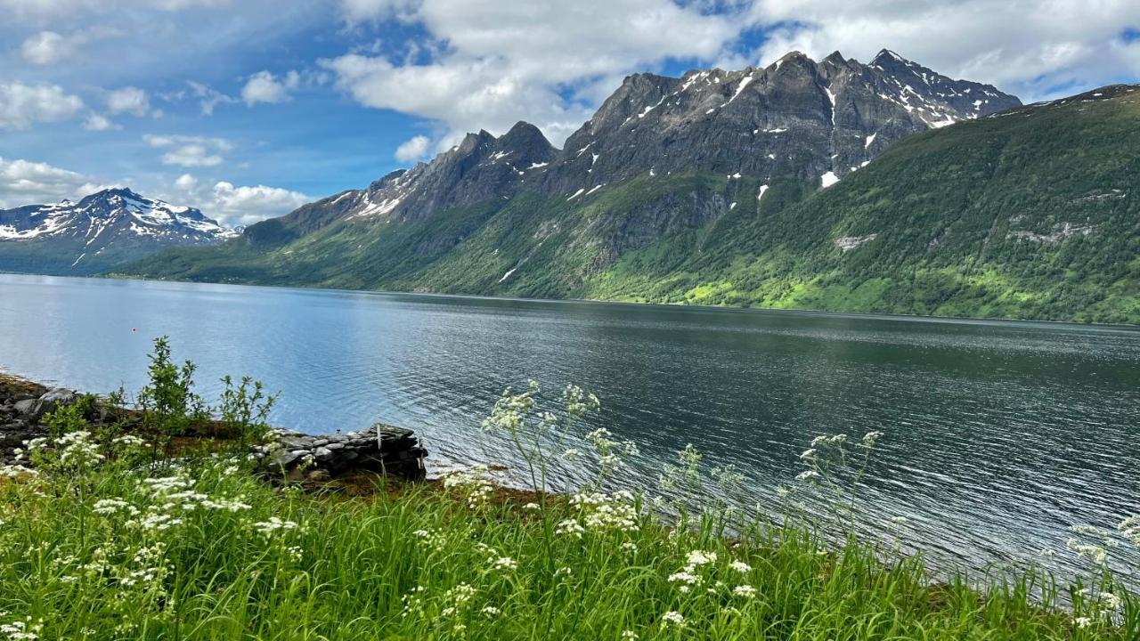 Апартаменти Norwegian Dream Gratangen Екстер'єр фото